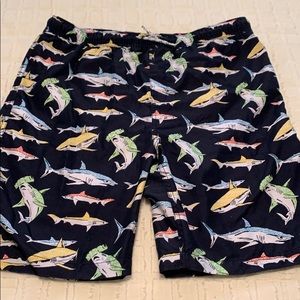 Lands End swim trunks